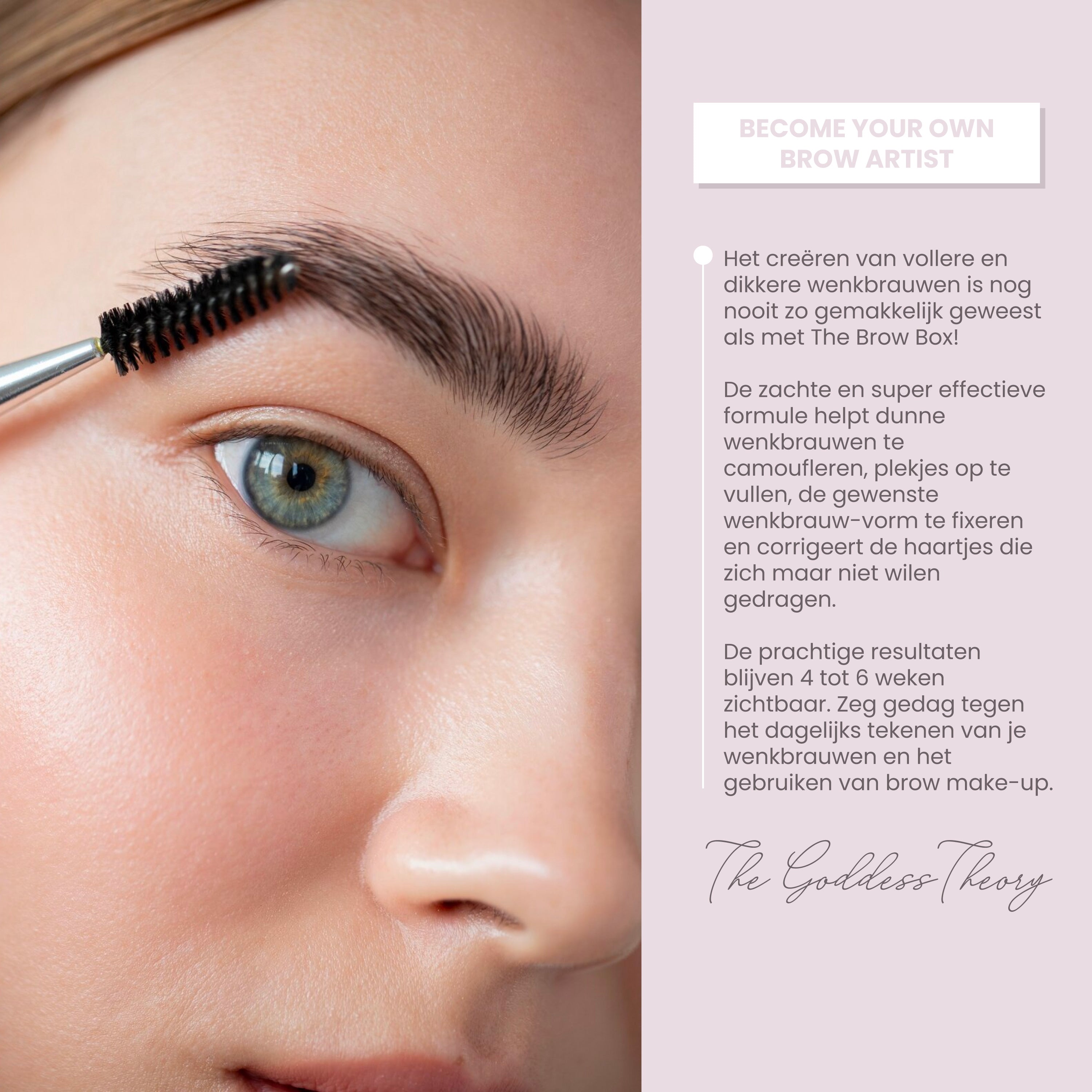 The Brow Box changes