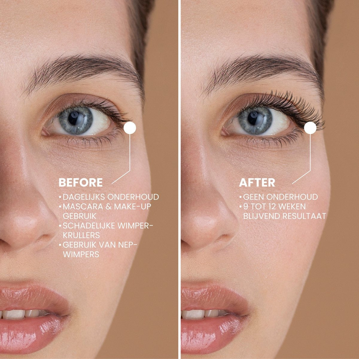 The Lash Box changes