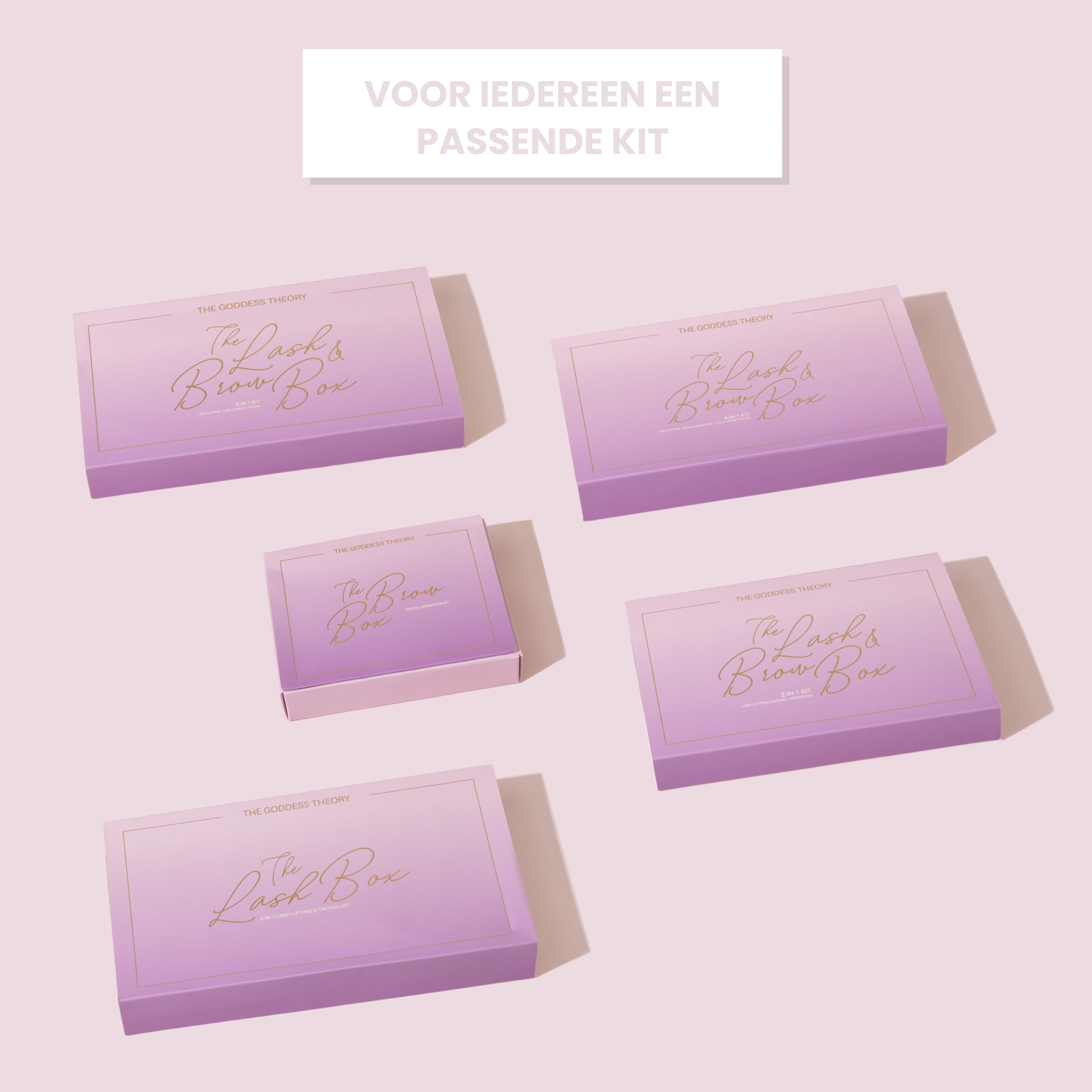 The Brow Box