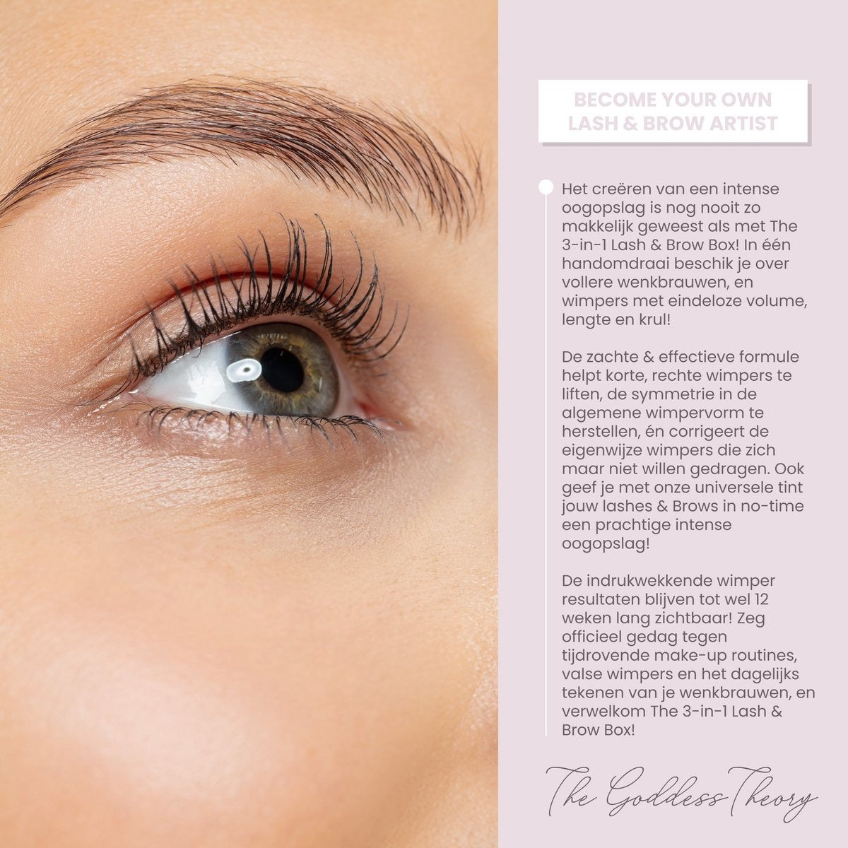 3in1 Lash & Brow Box