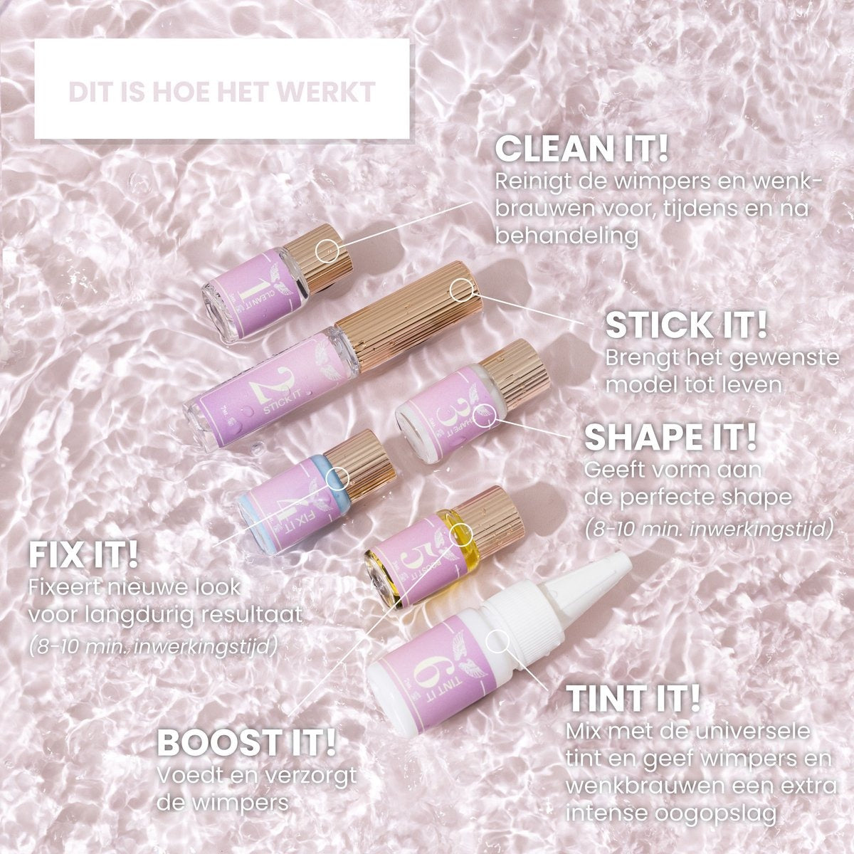 3in1 Lash & Brow Box