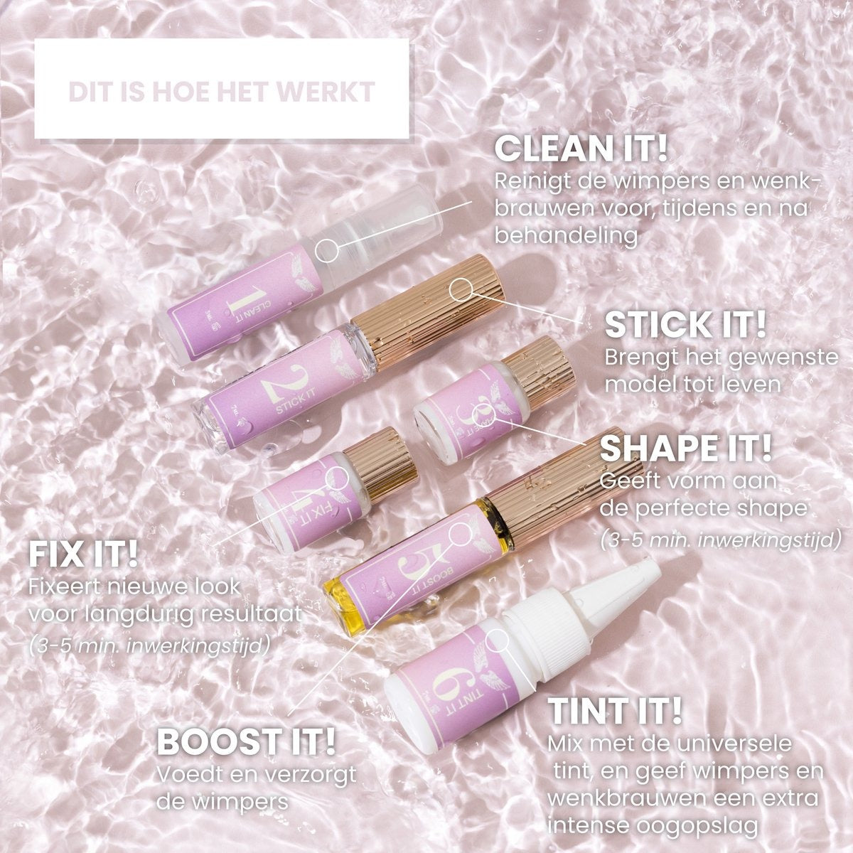 4in1 Lash & Brow Box