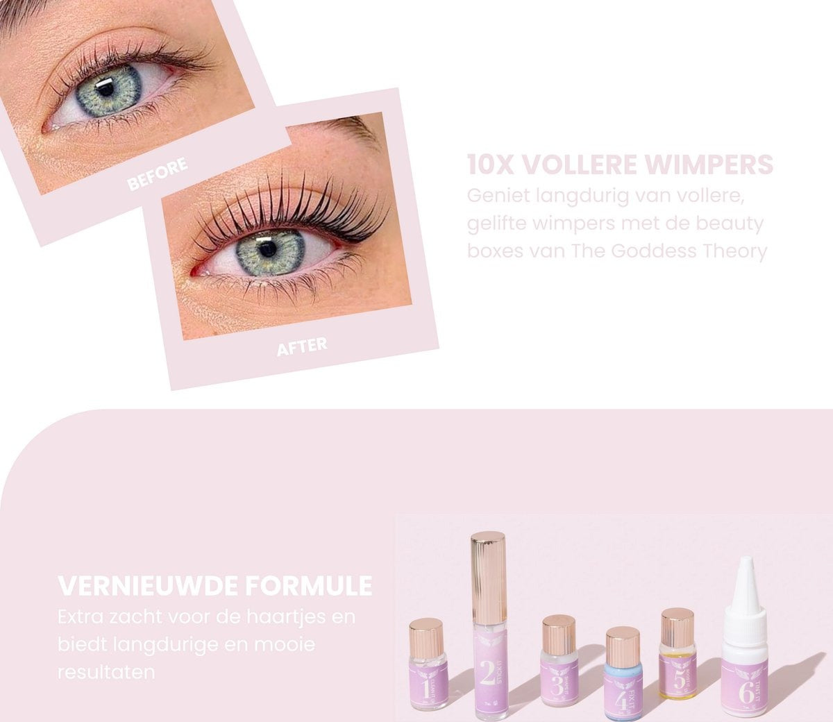 3in1 Lash & Brow Box