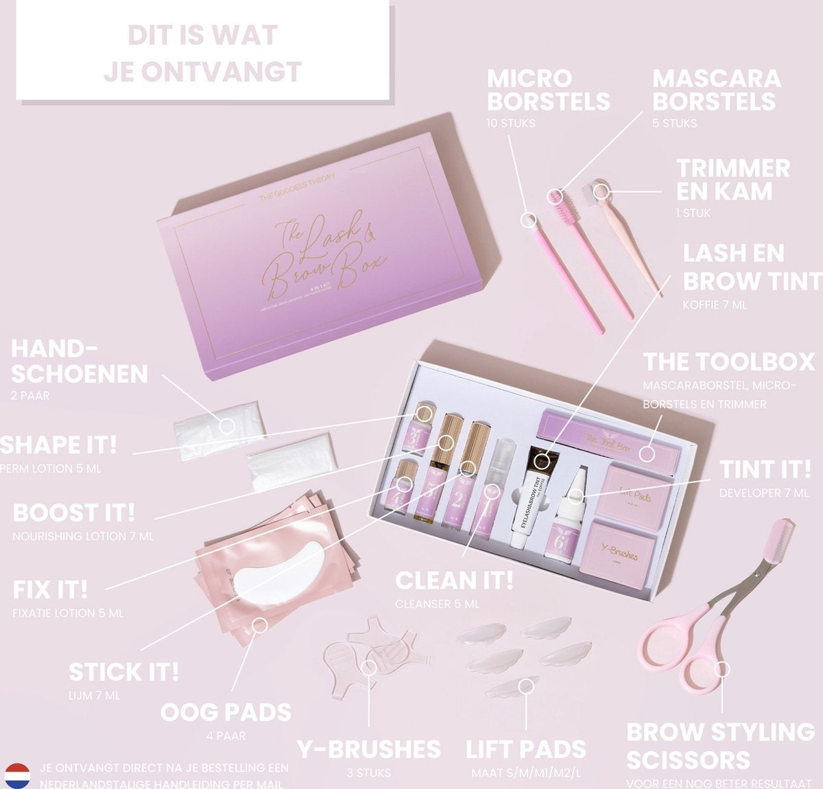 4in1 Lash & Brow Box