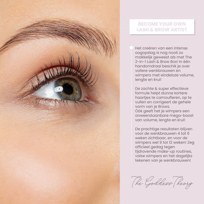 The 2in1 Lash & Brow Box