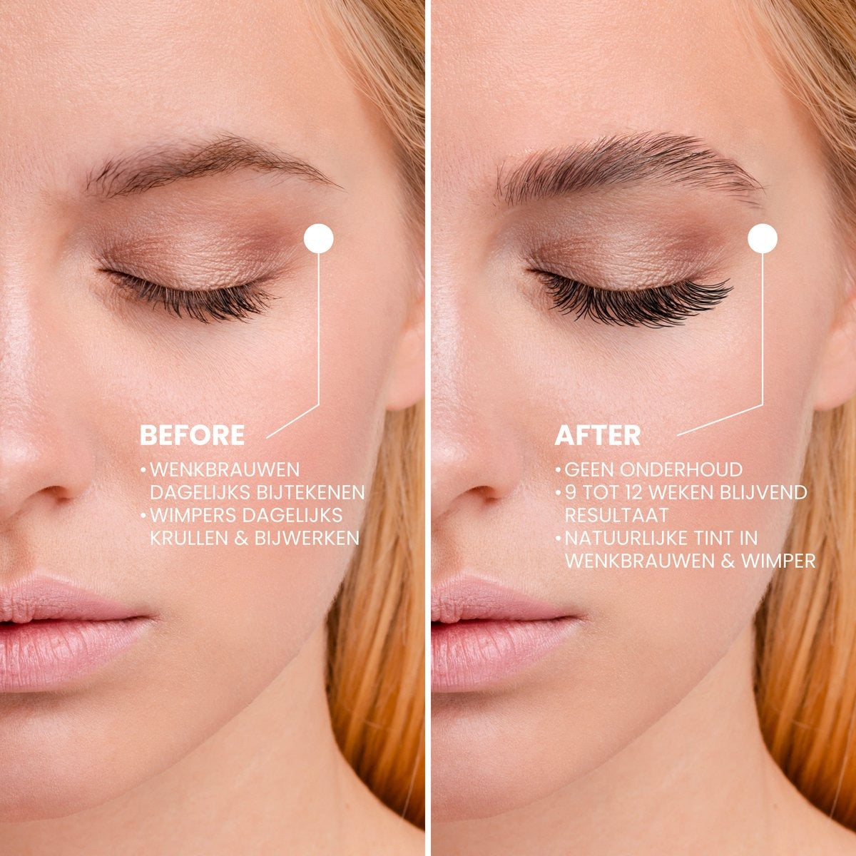 3in1 Lash & Brow Box