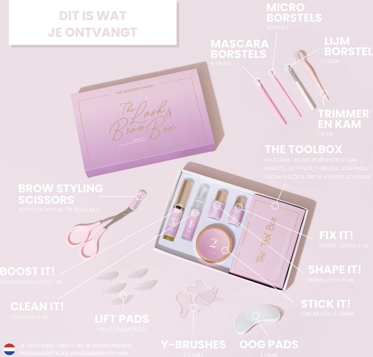 2in1 Lash & Brow Box