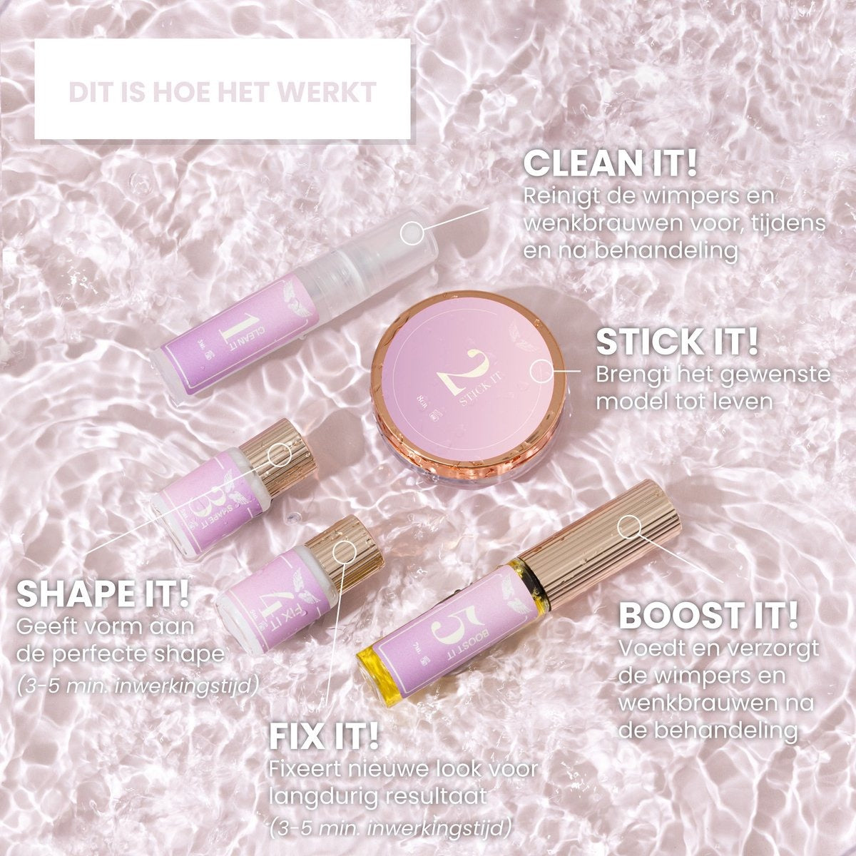 2in1 Lash & Brow Box