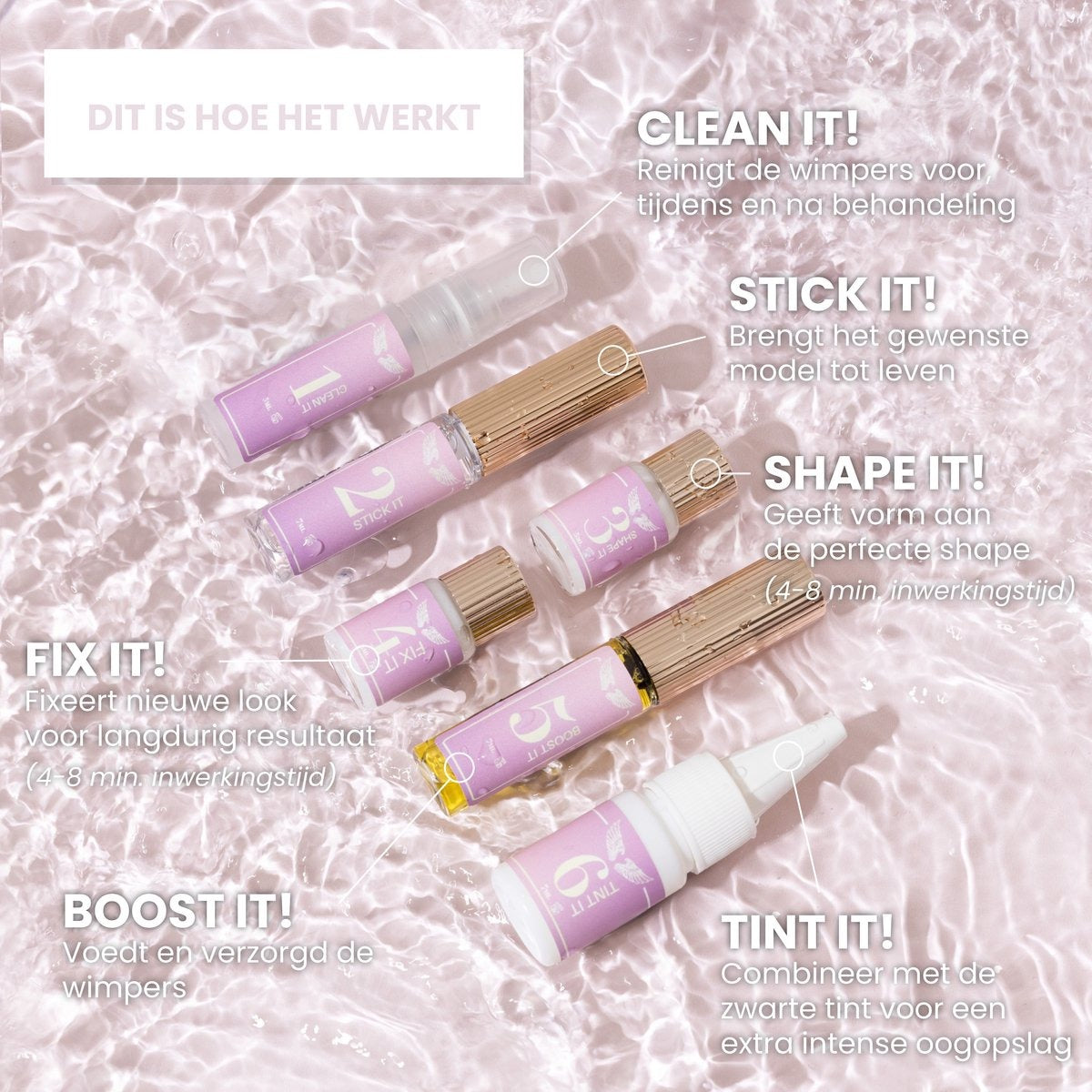 The Lash Box