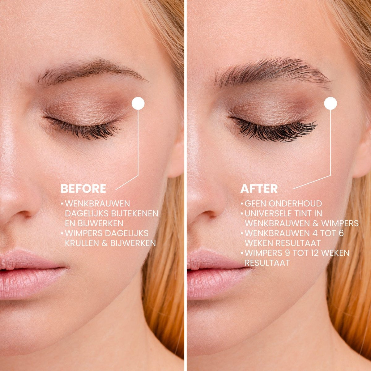 4in1 Lash & Brow Box