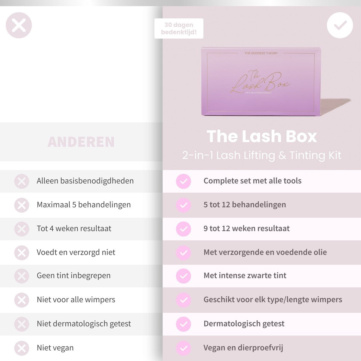 The Lash Box