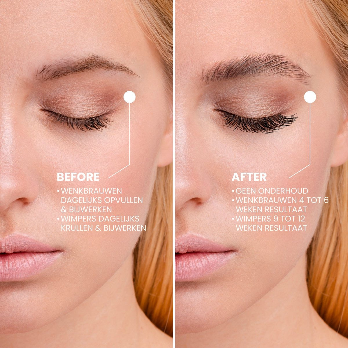 2in1 Lash & Brow Box