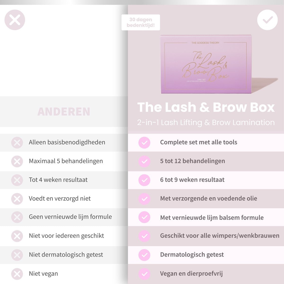 2in1 Lash & Brow Box