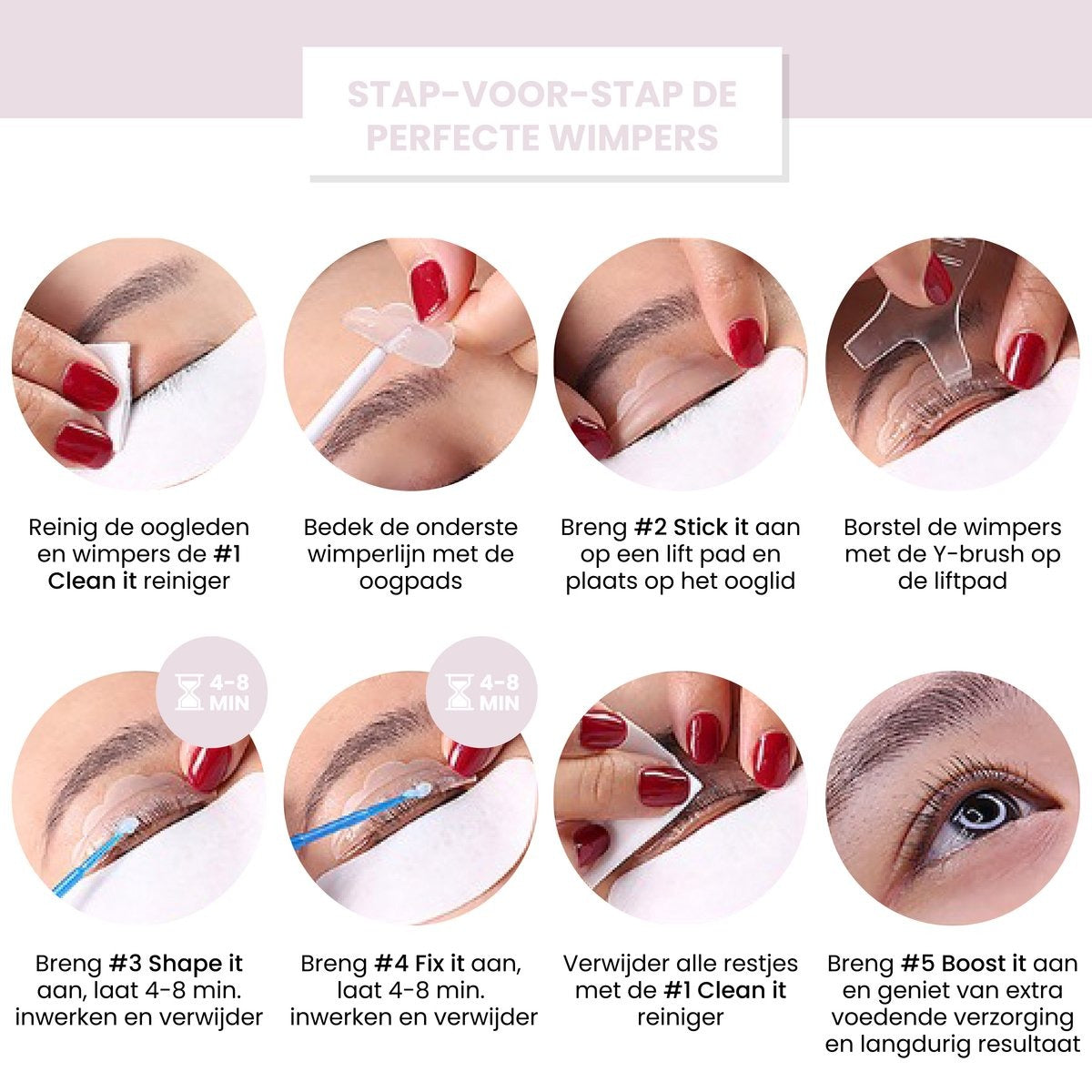 4in1 Lash & Brow Box