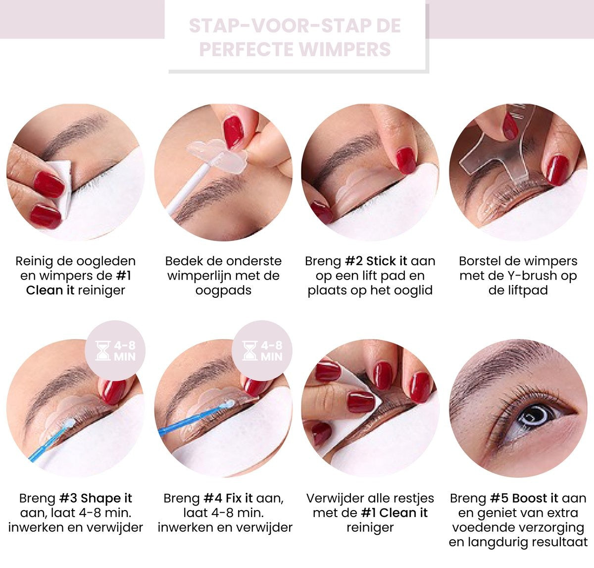 2in1 Lash & Brow Box